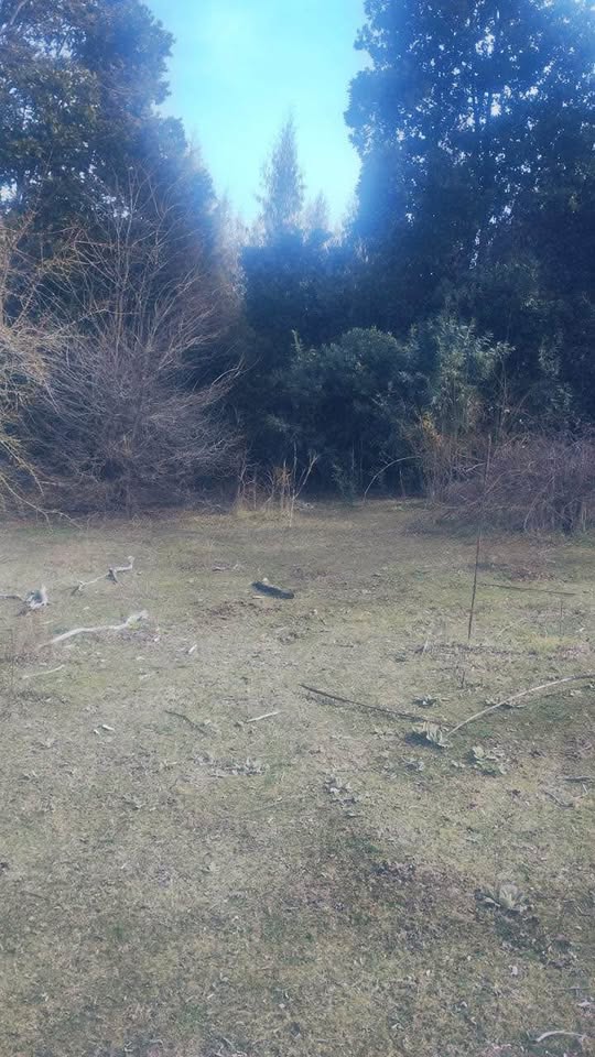 559337661_1350490976646813_951504439247772608_n