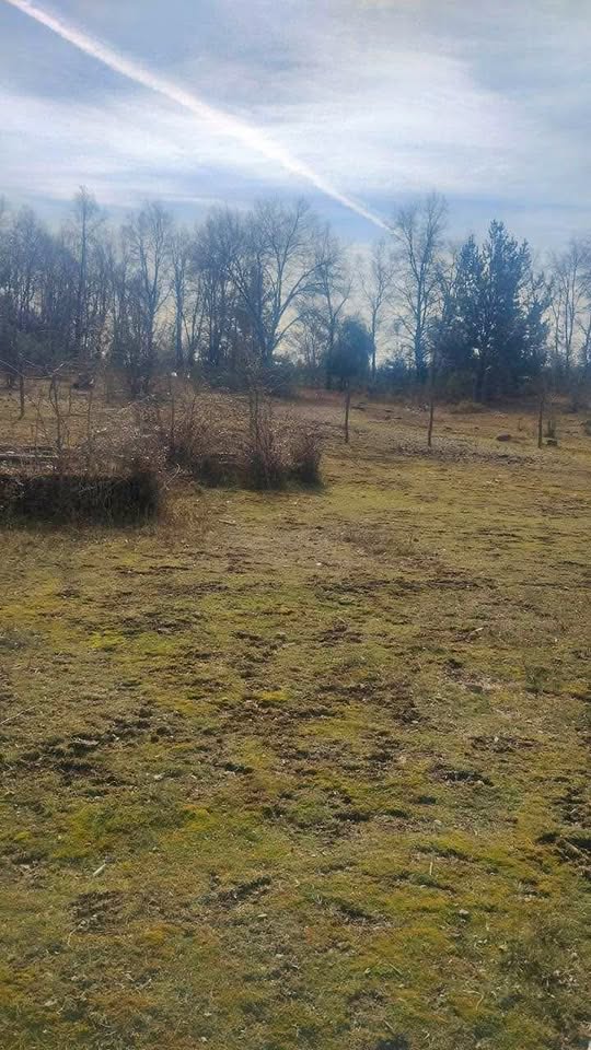 563450458_1336238304951337_1592179951945876014_n