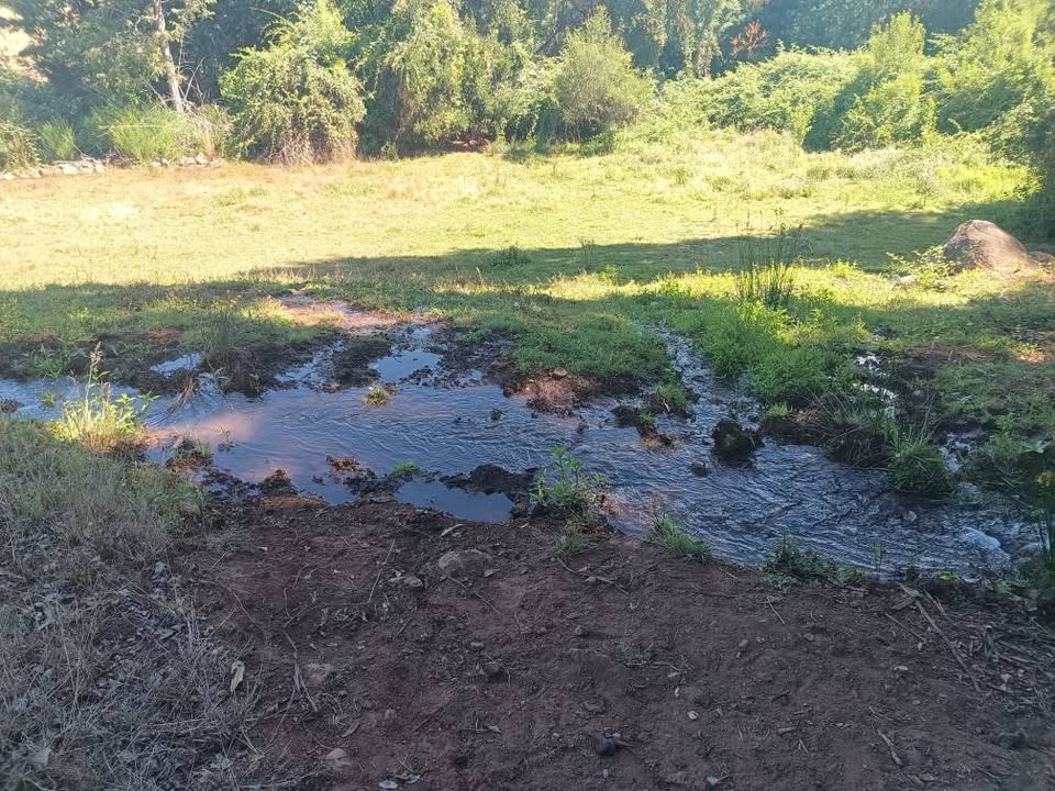 628115718_26145580041732168_7942014409240054531_n