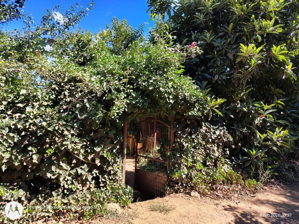 629365471_26145580321732140_7981687486666707094_n