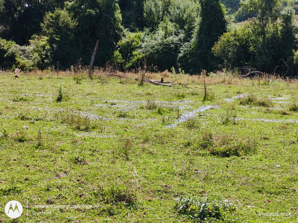 629432538_26145581781731994_6343360689731057624_n