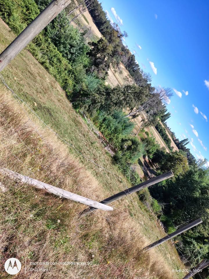 630122327_26145580651732107_7449624005164659184_n