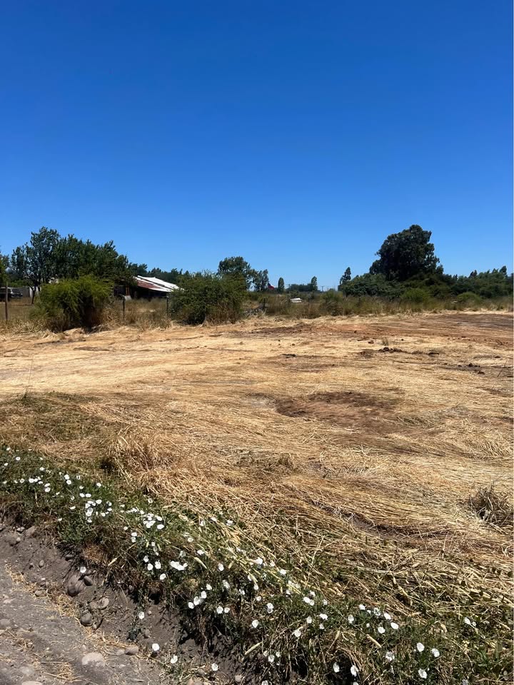 630139054_2484124098711406_3003536378499801473_n