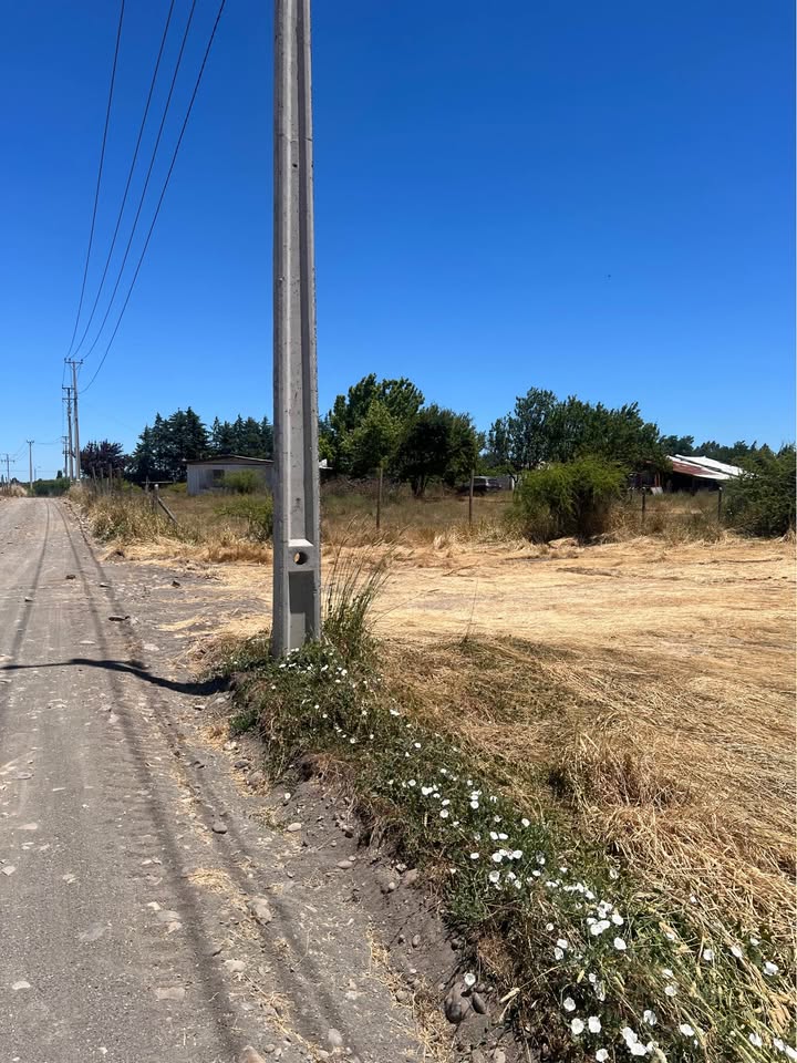 630196237_1240239011384988_939013814178438886_n