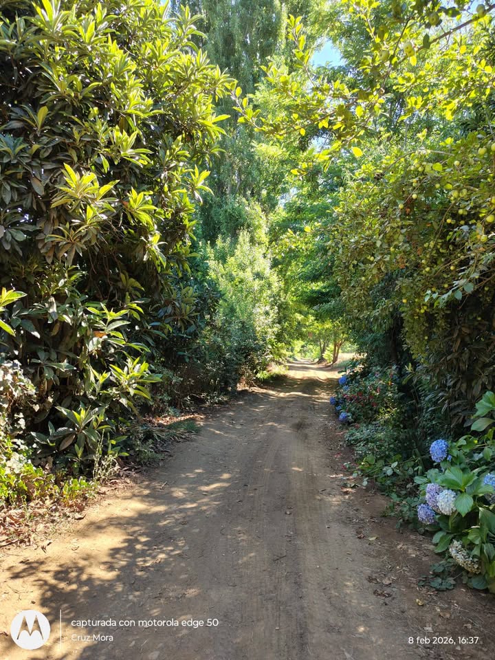 630571654_26145579521732220_7255030489124010774_n