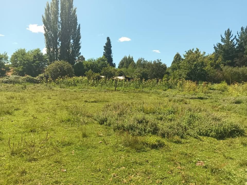 631434693_26145579801732192_8020543749721528449_n